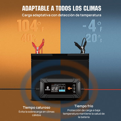 Cargador Inteligente de Batería de Litio 12V 5A (CA a CC) para LiFePO4 y Plomo-Ácido