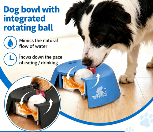 Anti-Dirt Bowl for Dogs - CleanBowl™