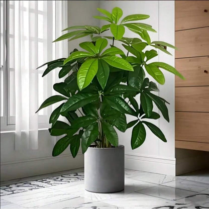 Artificial Tropical Plant